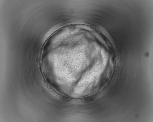 X0000113201002200909241354