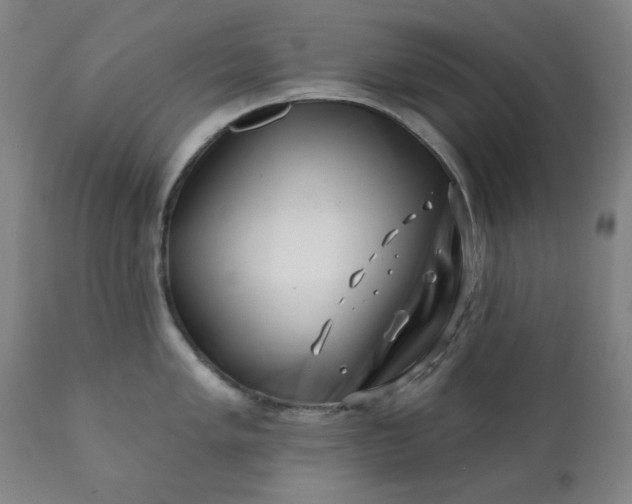 X0000113201005200909241354