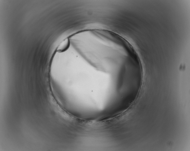 X0000113201008200909241354