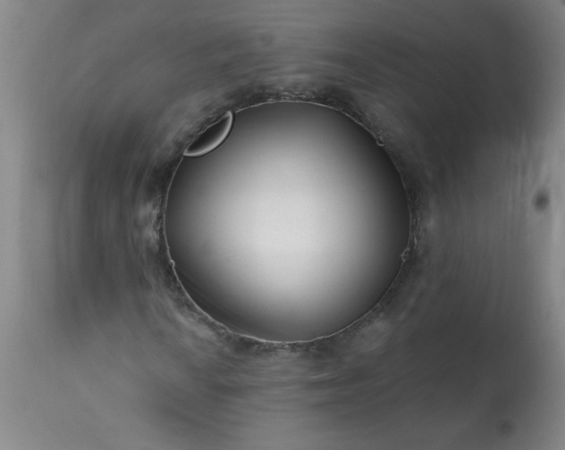 X0000113201010200909241354