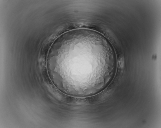 X0000113201011200909241354