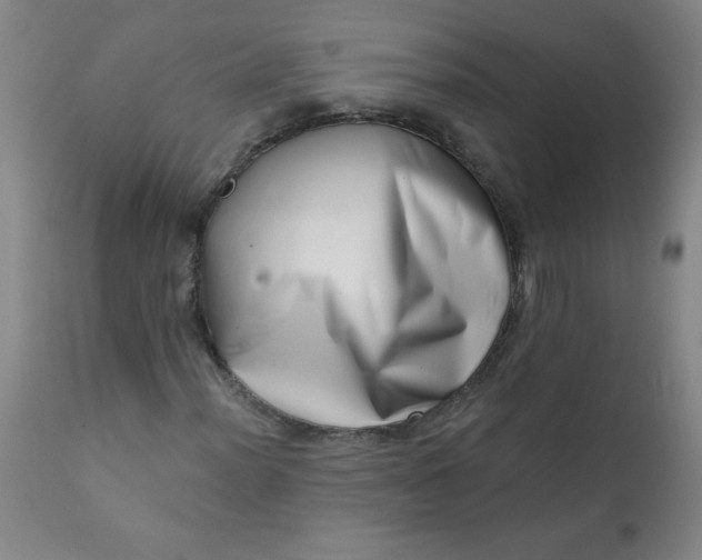 X0000113201012200909241354