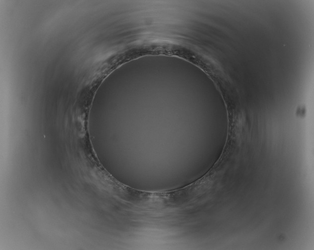 X0000113201013200909241354