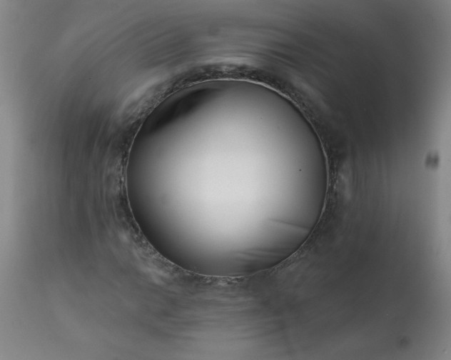 X0000113201014200909241354