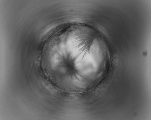 X0000113201015200909241354