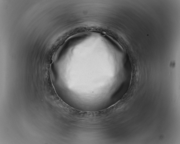 X0000113201016200909241354