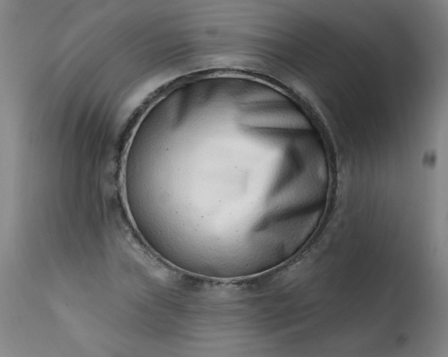 X0000113201019200909241354