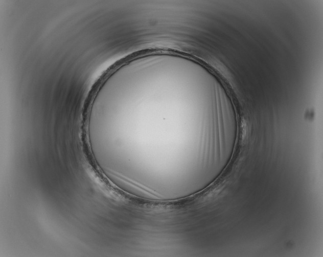 X0000113201020200909241354