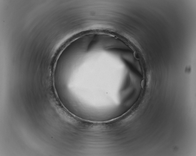 X0000113201021200909241354