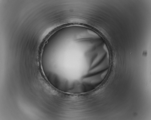 X0000113201022200909241354