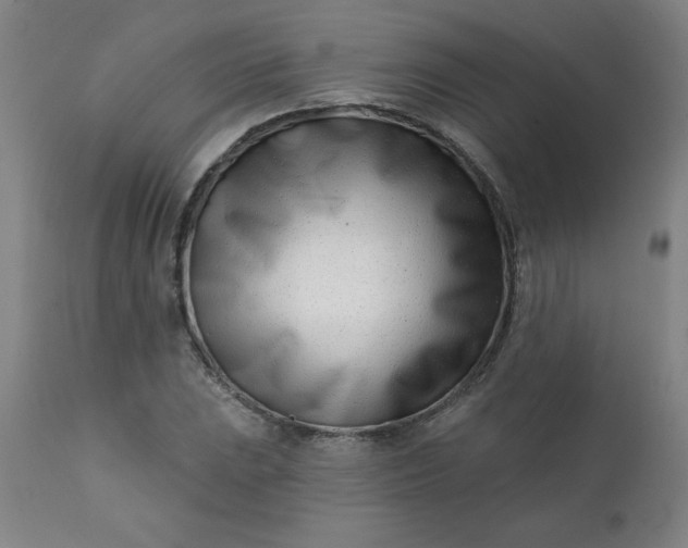 X0000113201023200909241354