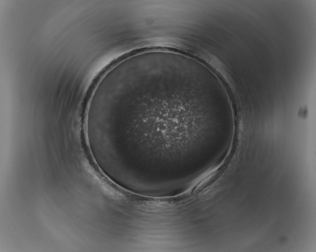 X0000113201024200909241354