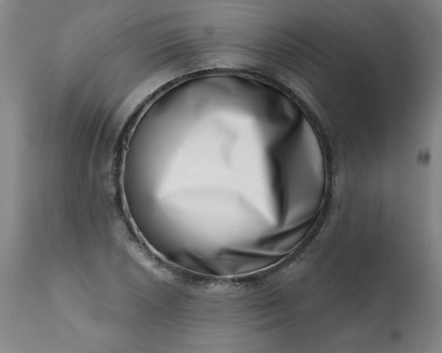 X0000113201026200909241354