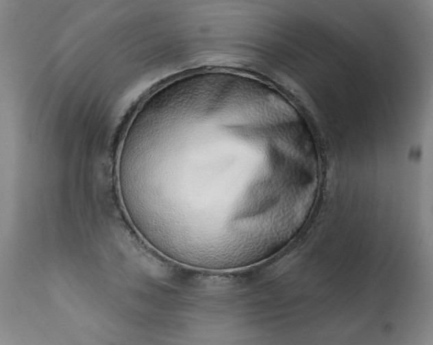 X0000113201027200909241354