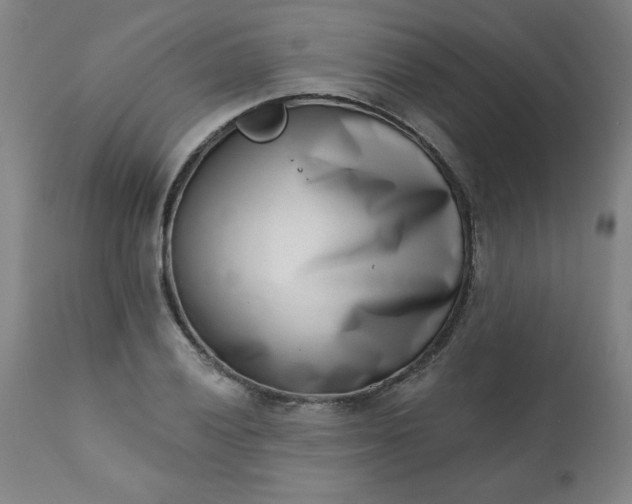 X0000113201028200909241354