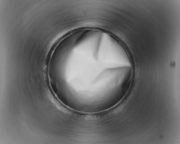 X0000113201029200909241354