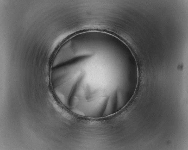 X0000113201030200909241354