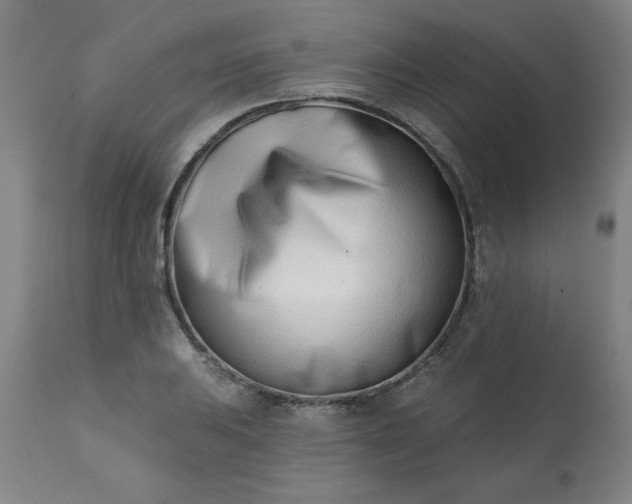 X0000113201031200909241354