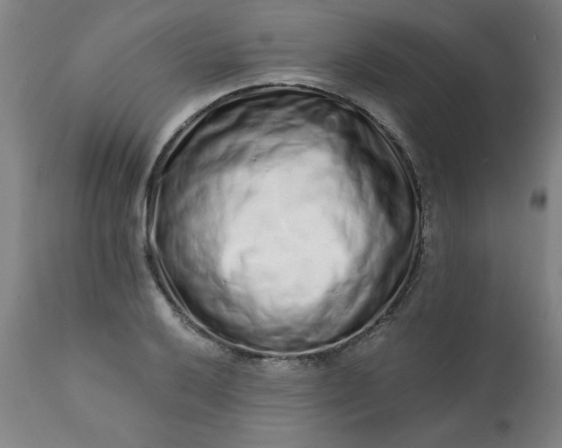 X0000113201032200909241354