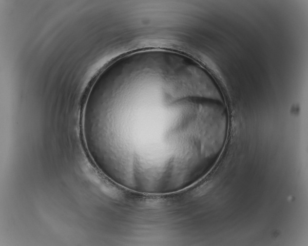 X0000113201035200909241354