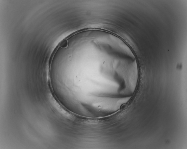 X0000113201036200909241354