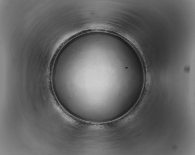 X0000113201037200909241354