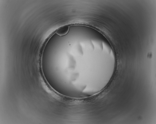 X0000113201038200909241354