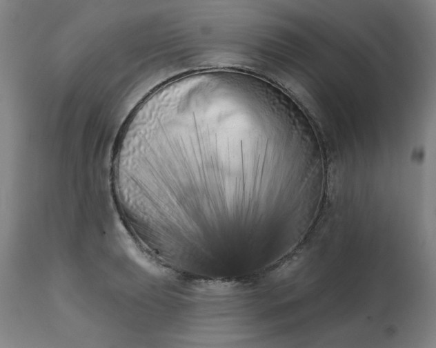 X0000113201039200909241354