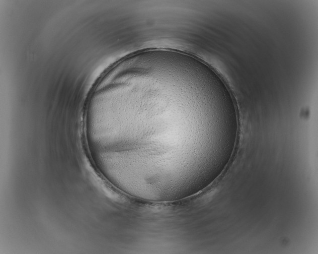 X0000113201040200909241354