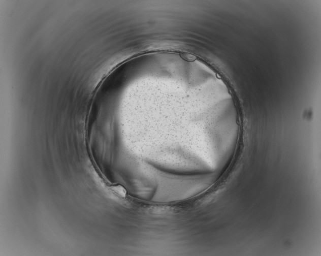 X0000113201041200909241354