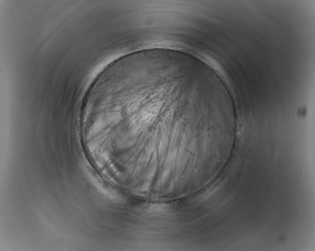 X0000113201043200909241354