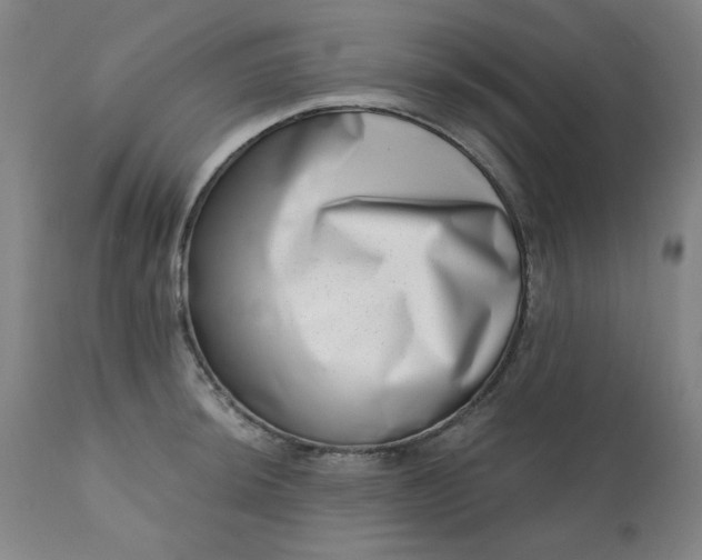 X0000113201044200909241354