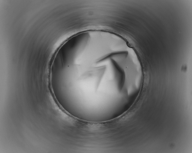 X0000113201046200909241354