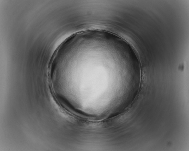 X0000113201047200909241354