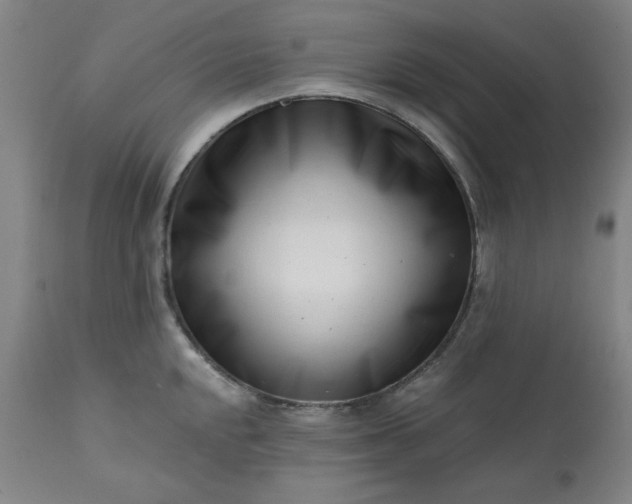 X0000113201048200909241354