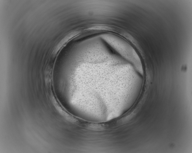 X0000113201049200909241354