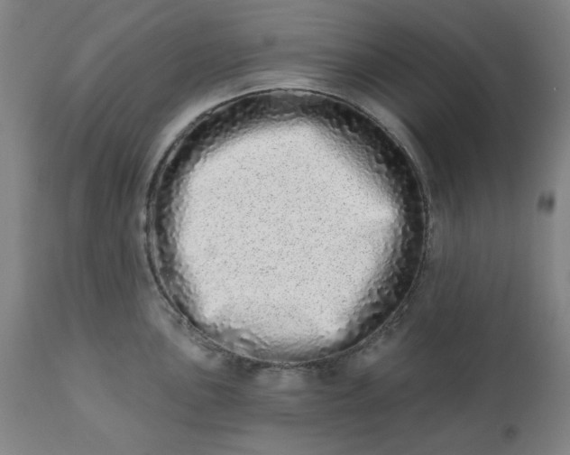 X0000113201051200909241354