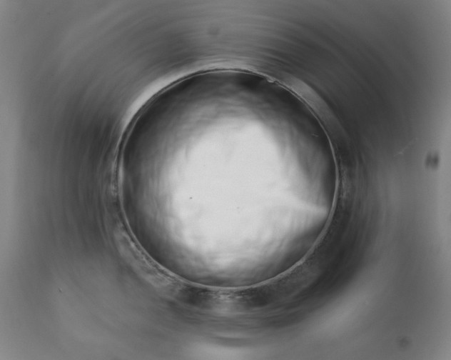 X0000113201052200909241354