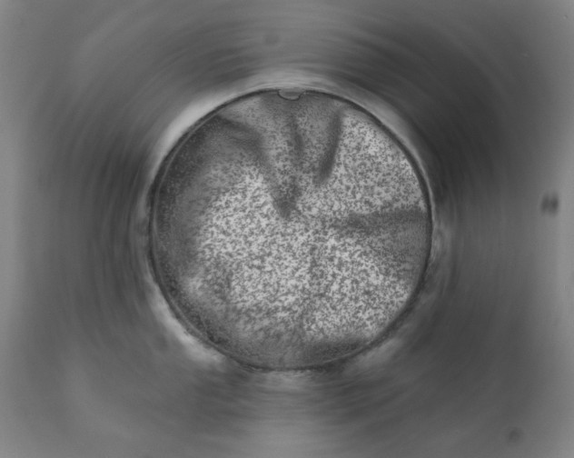 X0000113201053200909241354