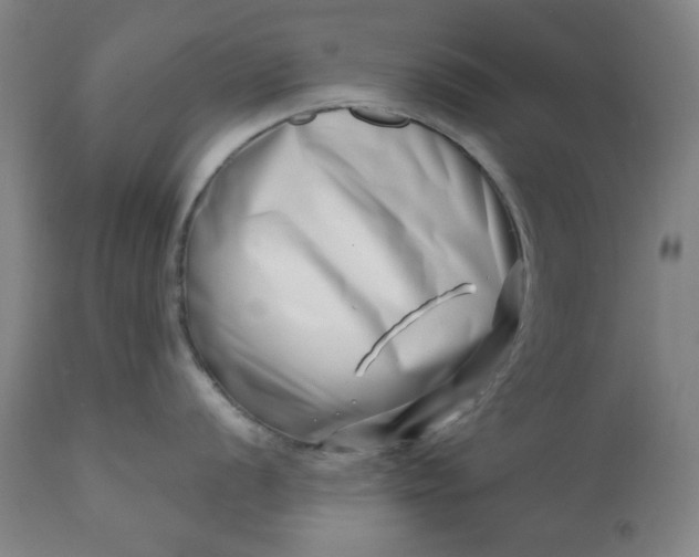 X0000113201056200909241354