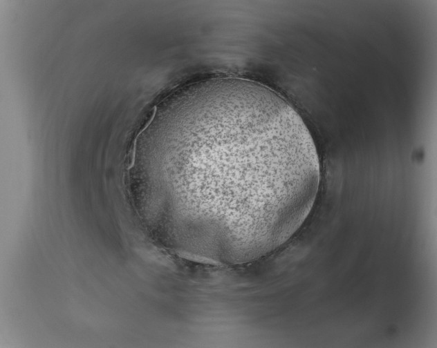 X0000113201057200909241353