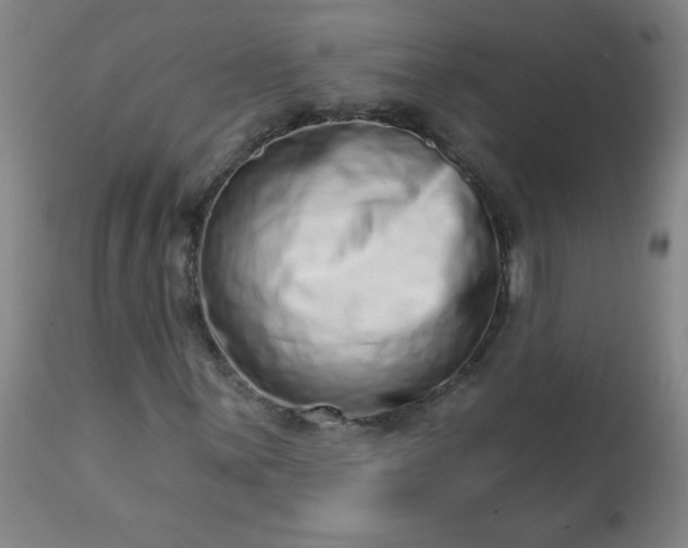 X0000113201059200909241353