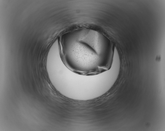 X0000113201060200909241353