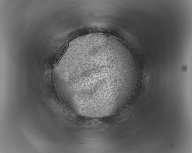 X0000113201061200909241353