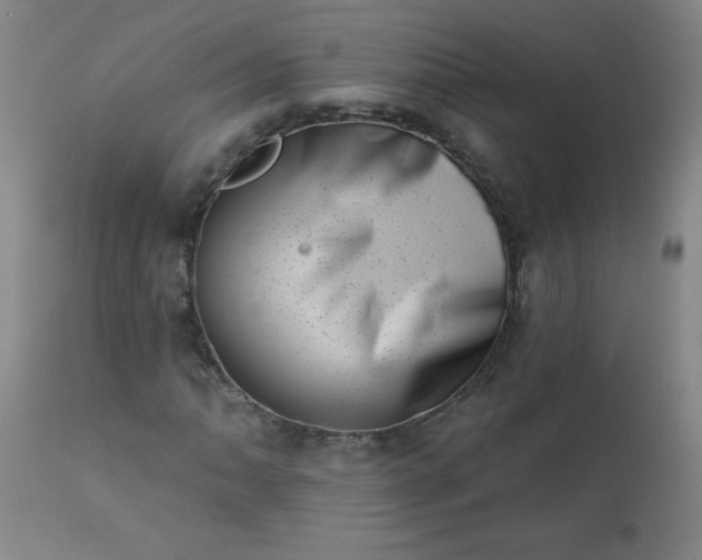 X0000113201062200909241353