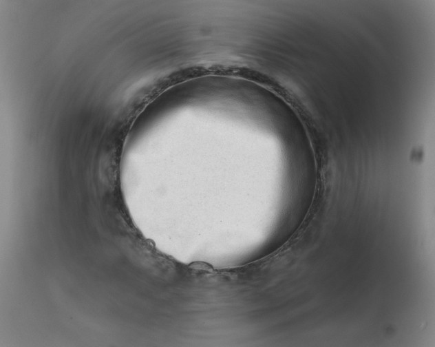 X0000113201063200909241353