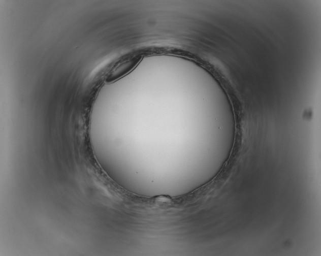 X0000113201064200909241353