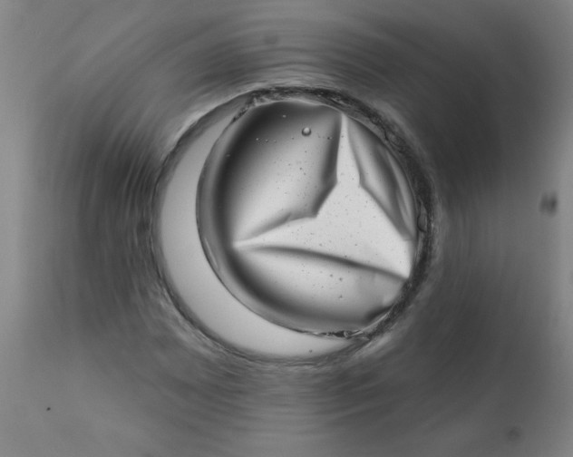 X0000113201065200909241353