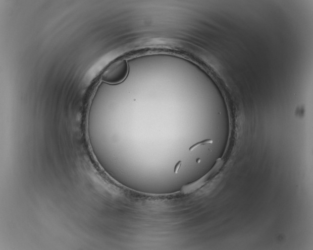 X0000113201066200909241353