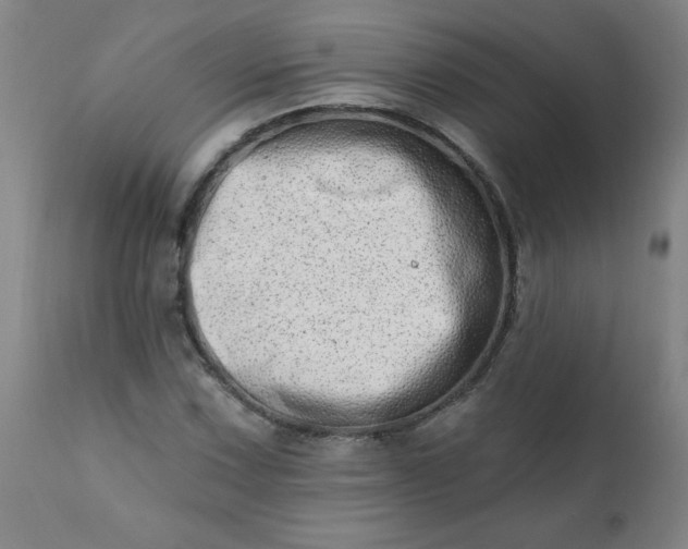 X0000113201067200909241353